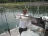 (08/13/2016) - Nice Striped Bass